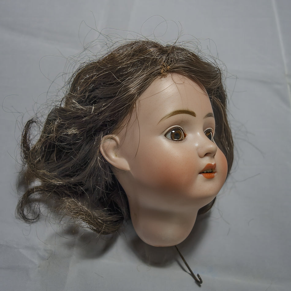 Antique doll head with brown hair and painted features